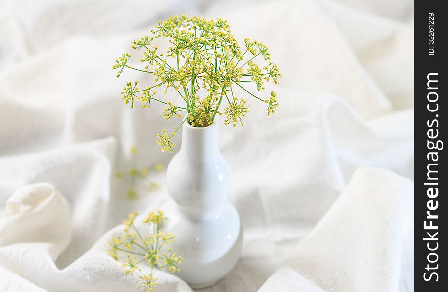 Still life of dill flower in small white vase. Still life of dill flower in small white vase