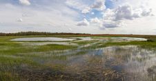 Free Laguna Wetland In The Field Stock Image - 32271271