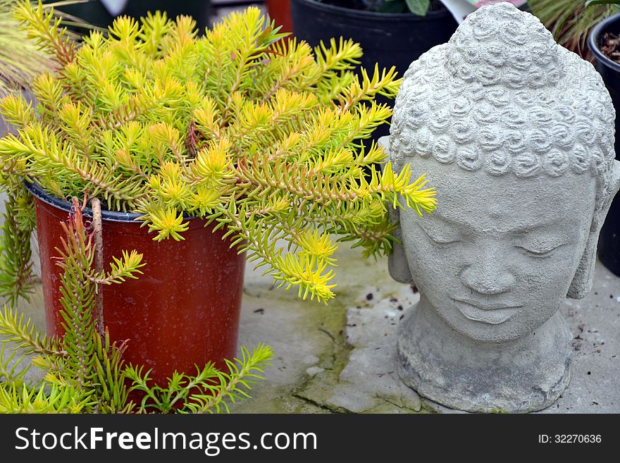 Decorative Garden Buddha