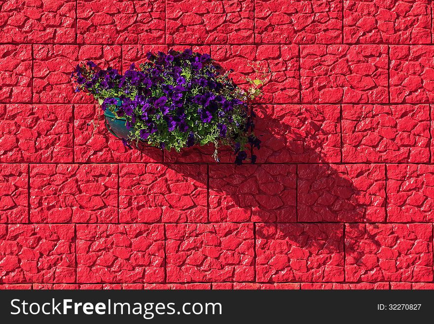 Basket of purple petunias on a red wall. Basket of purple petunias on a red wall