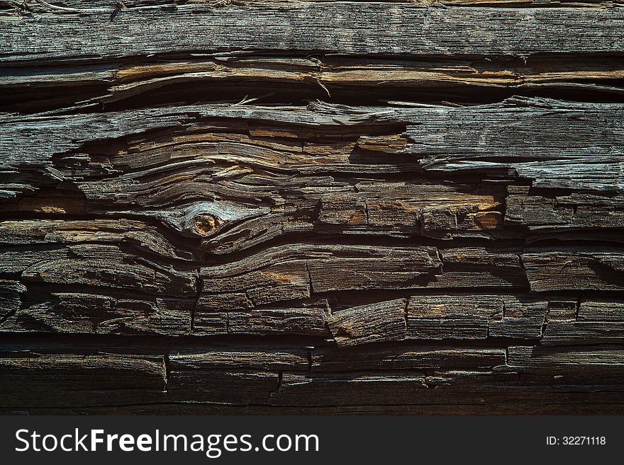 Old wood texture with a broken branch