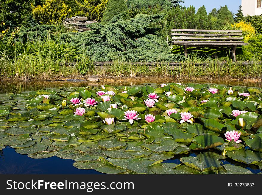 Place for the holiday with flowers and pond. Place for the holiday with flowers and pond