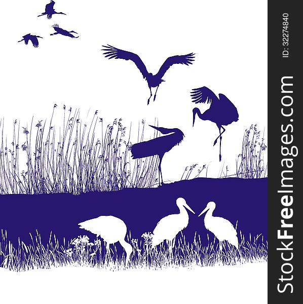 Isolated illustration of a flock of storks on the shore