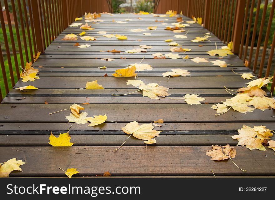 Autumn maple leaves on a bridge
