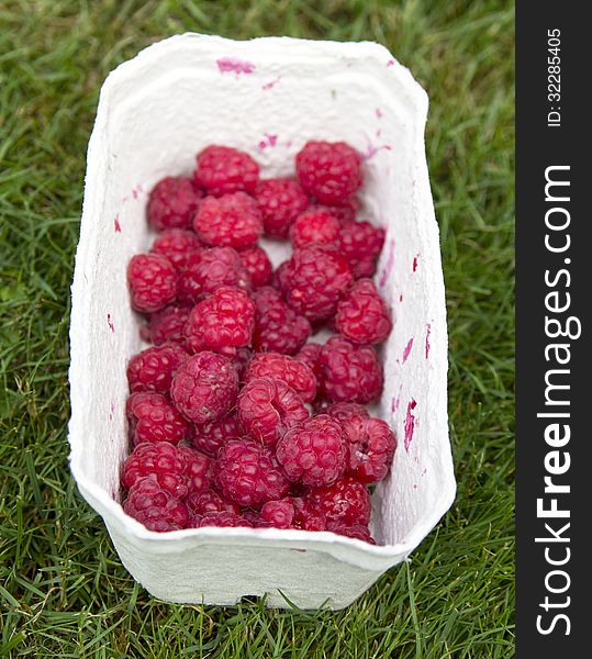 Fresh organic raspberries picked in paper box