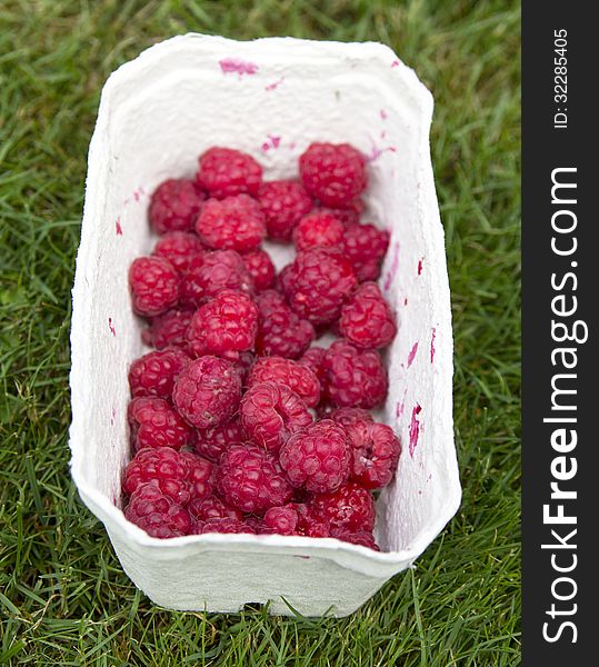 Raspberries