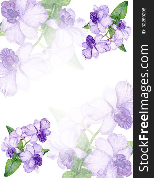 Gentle floral invitation with lilac orchid. Gentle floral invitation with lilac orchid