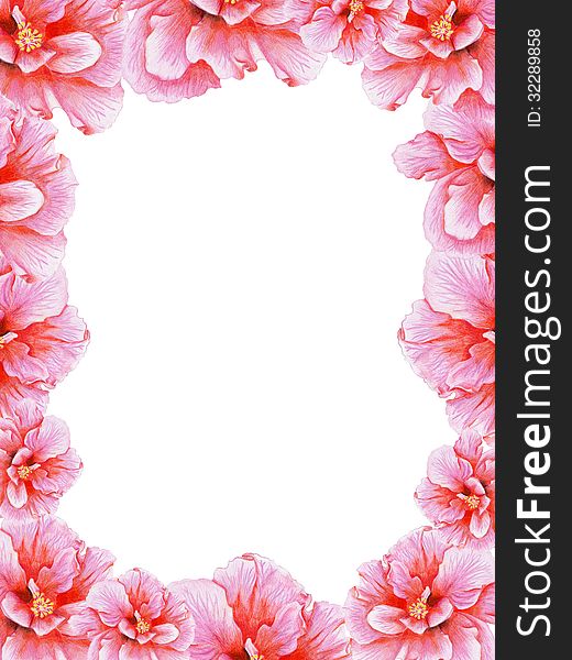 Gentle floral frame with pink hibiscus. Gentle floral frame with pink hibiscus