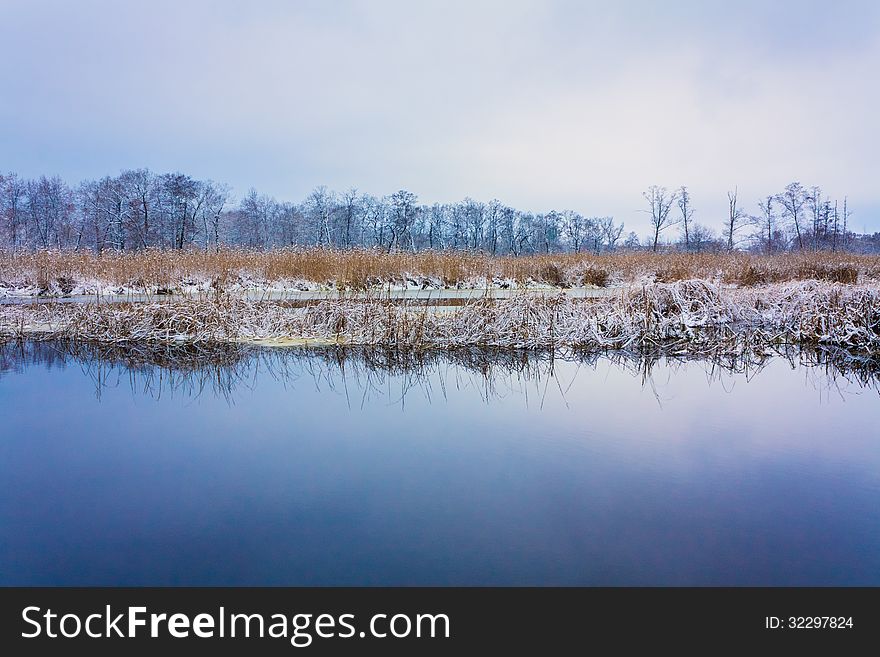 Wild Bog. Russian Nature In Winter. Wild Bog. Russian Nature In Winter