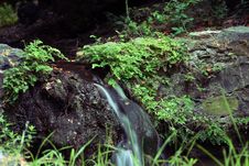 A Small Waterfall Stock Images A Small Waterfall Stock Images
