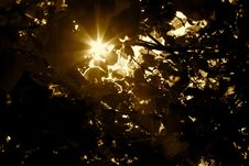 Sunlight Stock Images Sunlight Stock Images