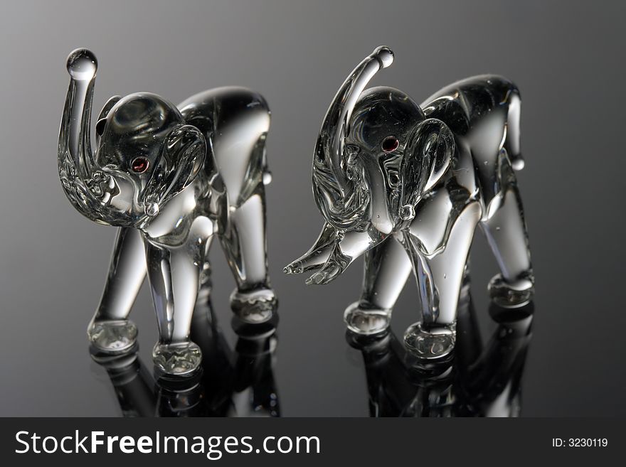 Elephant glass statues with reflection