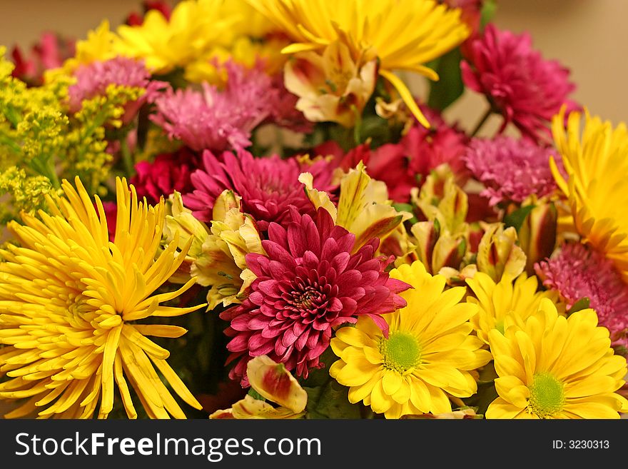 A bouquet of chrysanthemums in purple and yellow. A bouquet of chrysanthemums in purple and yellow