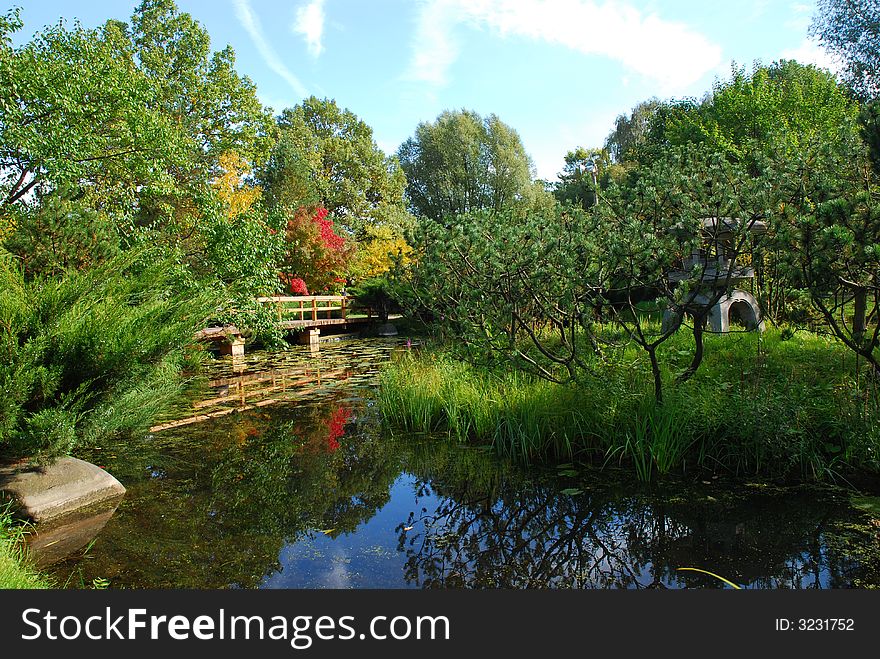 Autumn japanese garden and small lake