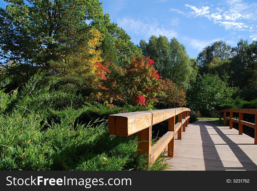 Japanese garden and wood bridge