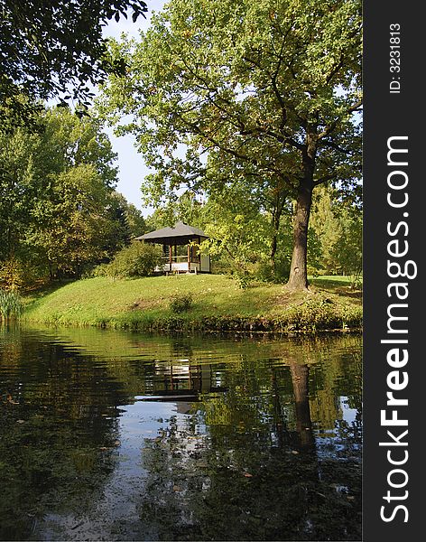 View japanese garden at autumn