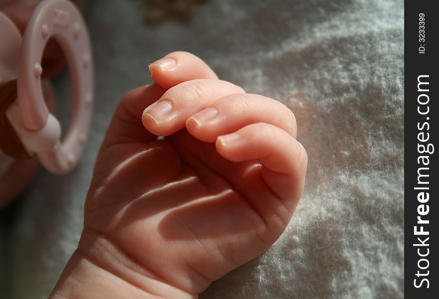 Infant S Little Hand