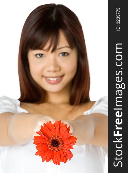 An attractive young Asian woman in white top holding a red flower on white background (focus is on flower). An attractive young Asian woman in white top holding a red flower on white background (focus is on flower)