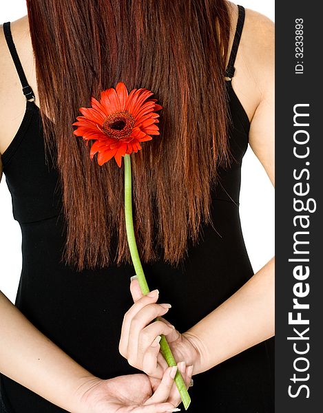 An attractive young Asian woman in white top holding a red flower on white background. An attractive young Asian woman in white top holding a red flower on white background