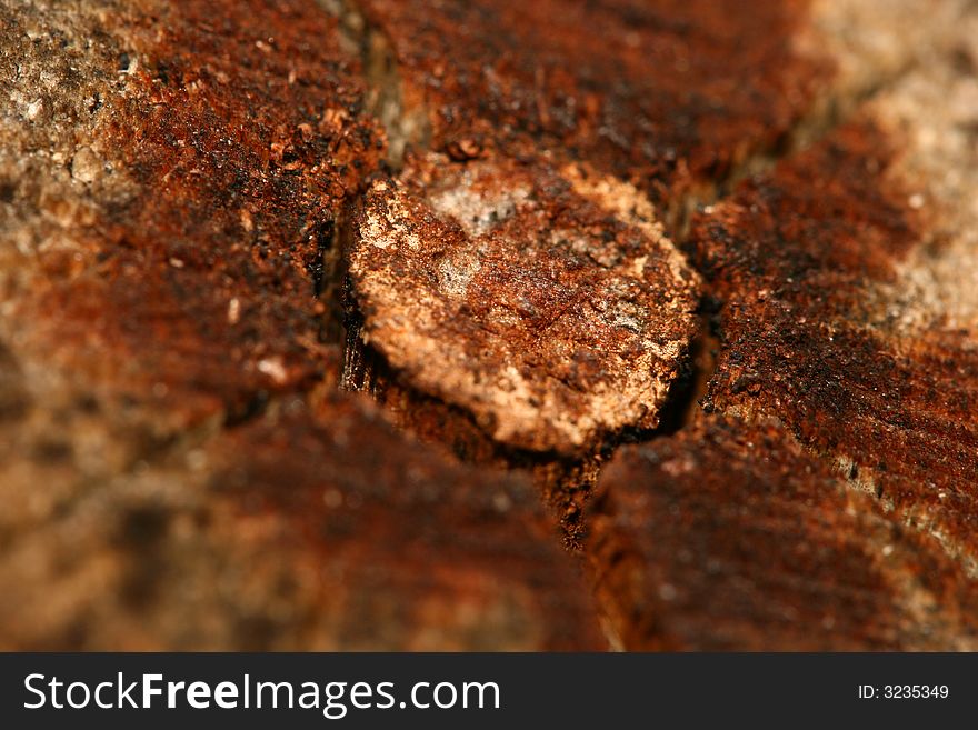 Wood texture background close-up detail. Wood texture background close-up detail