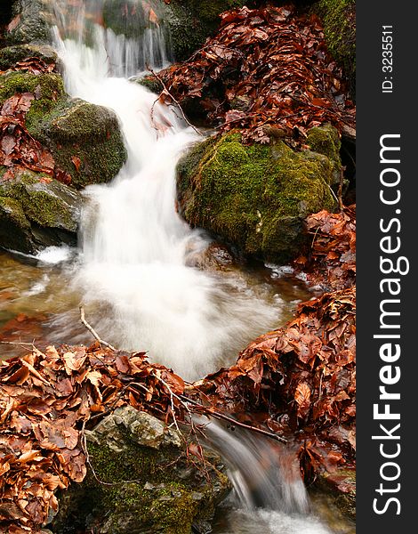 Forest stream, stone and braun  leaves