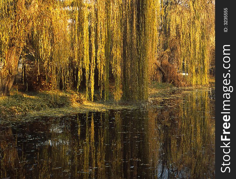 Autumn in the park of Skopje city