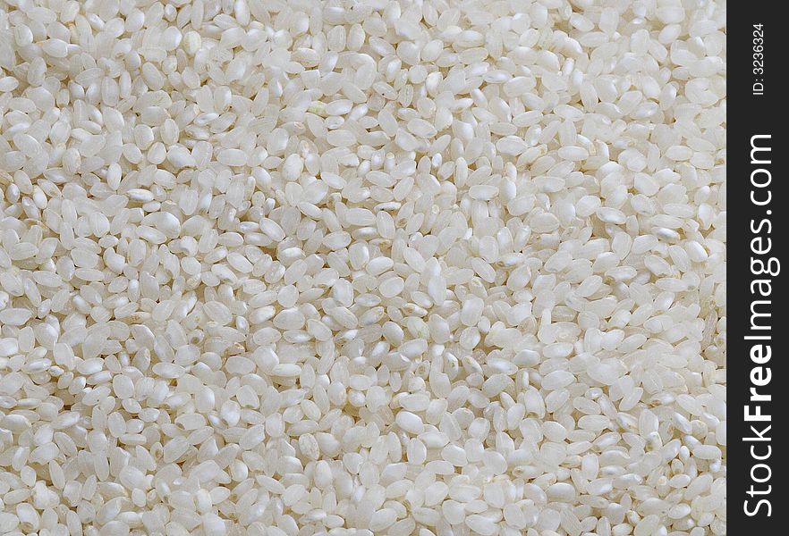 Photo macro of rice. detail