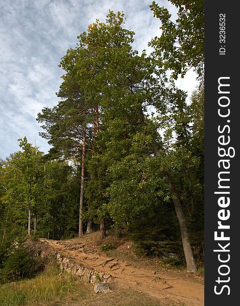 Forest walk on Valaam Island, Russia