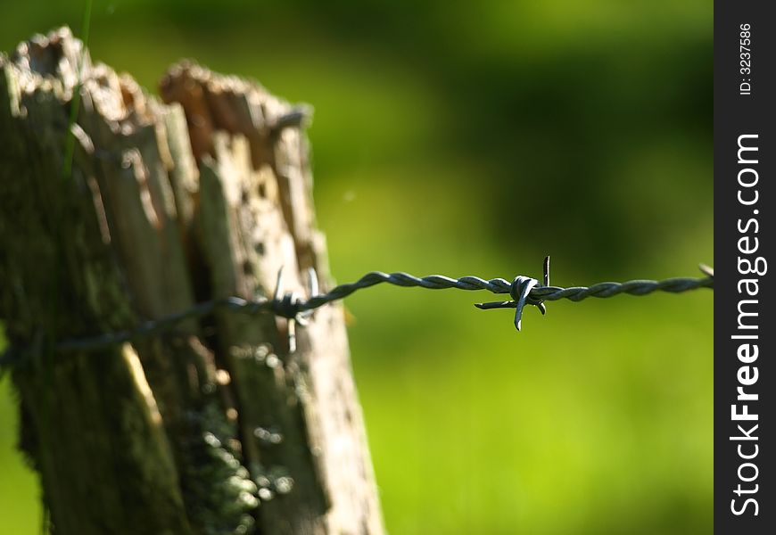 A sharp barbwire attached to a pole protecting a horsefarm. A sharp barbwire attached to a pole protecting a horsefarm