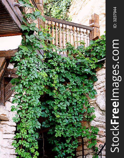 The part of ancient building witn the ivy on the wall. The part of ancient building witn the ivy on the wall