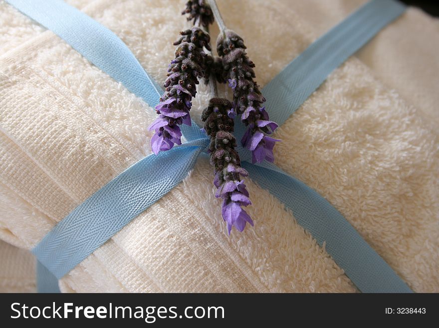 Lavender flowers on Towels with blue ribbons. Lavender flowers on Towels with blue ribbons