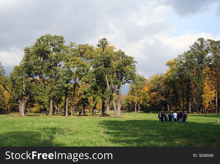 Picturesque autumn landscape of  bright trees and bushes and children. Picturesque autumn landscape of  bright trees and bushes and children