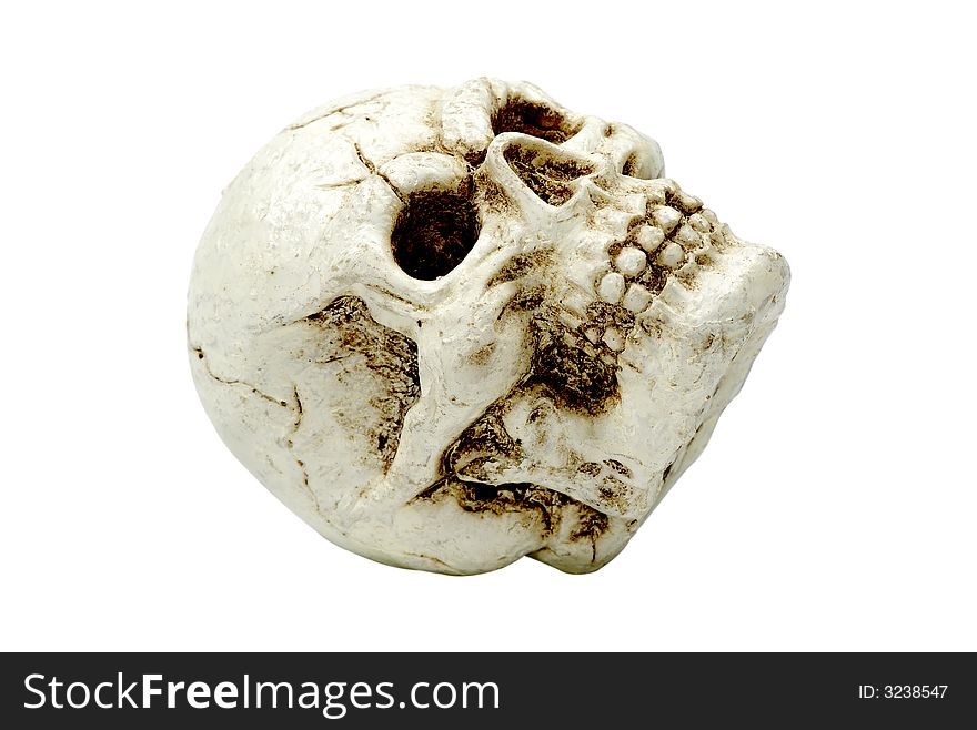 Photo of a Skull - Halloween Decoration