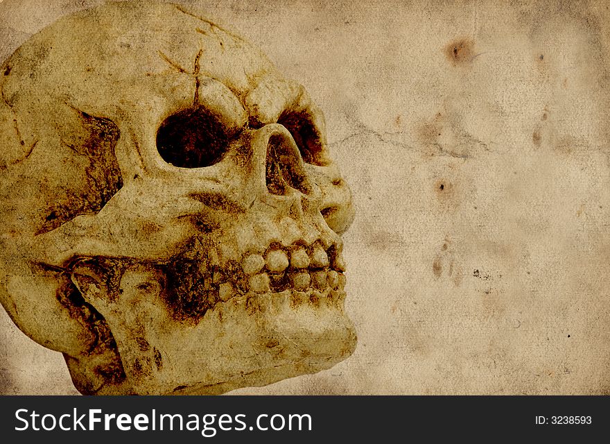 Photo of a Skull - Halloween Background. Photo of a Skull - Halloween Background