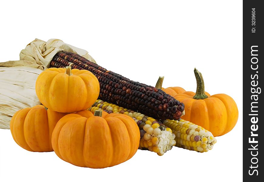 Pumpkins and Indian corn isolated on white. Pumpkins and Indian corn isolated on white