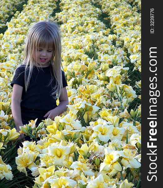 Young girl in the middle of a day lily field. Young girl in the middle of a day lily field.