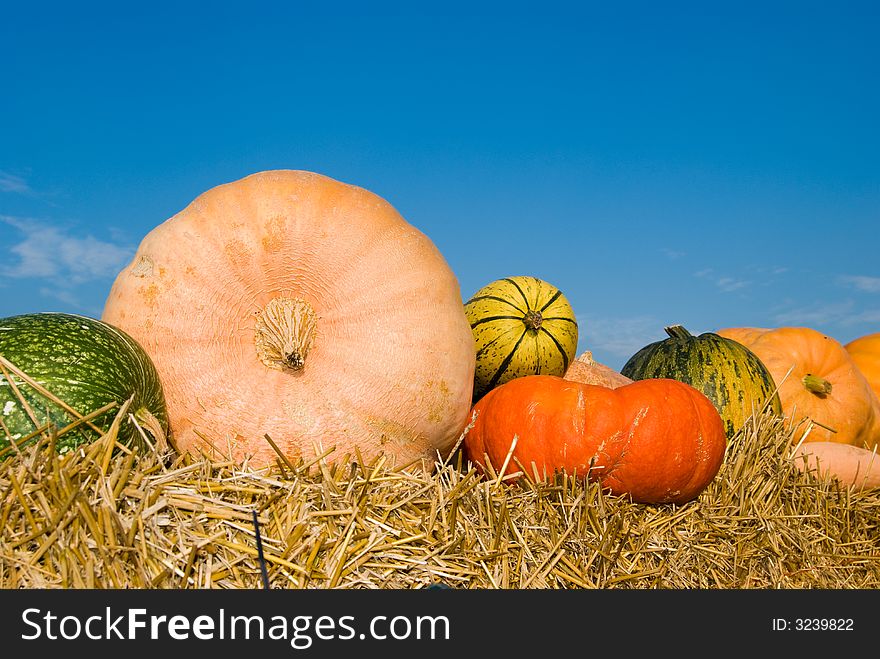 Colorfull pumpkins on straw against the blue sky