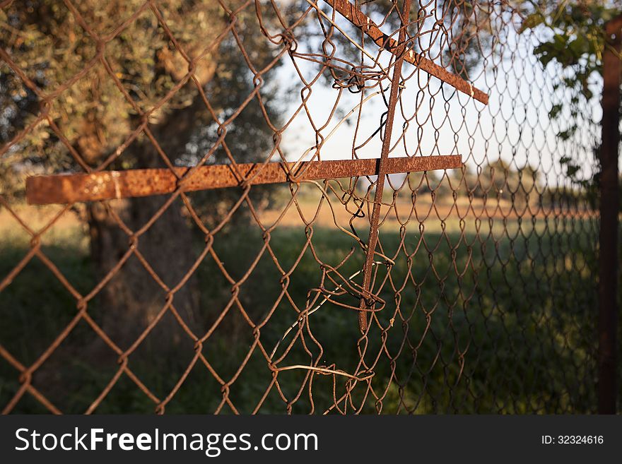 Old Iron Fence