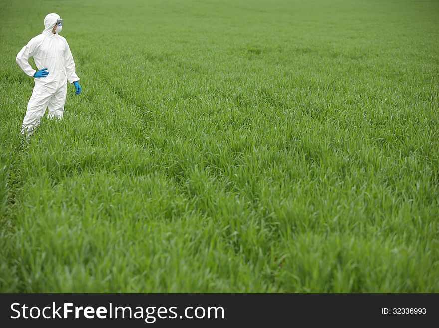 Biotechnology engineer in white protective uniform on field of genetically modified crops. Biotechnology engineer in white protective uniform on field of genetically modified crops