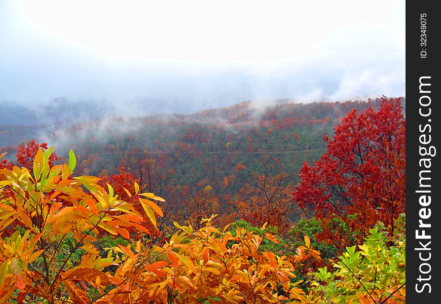 Autumn landscape in the mountains