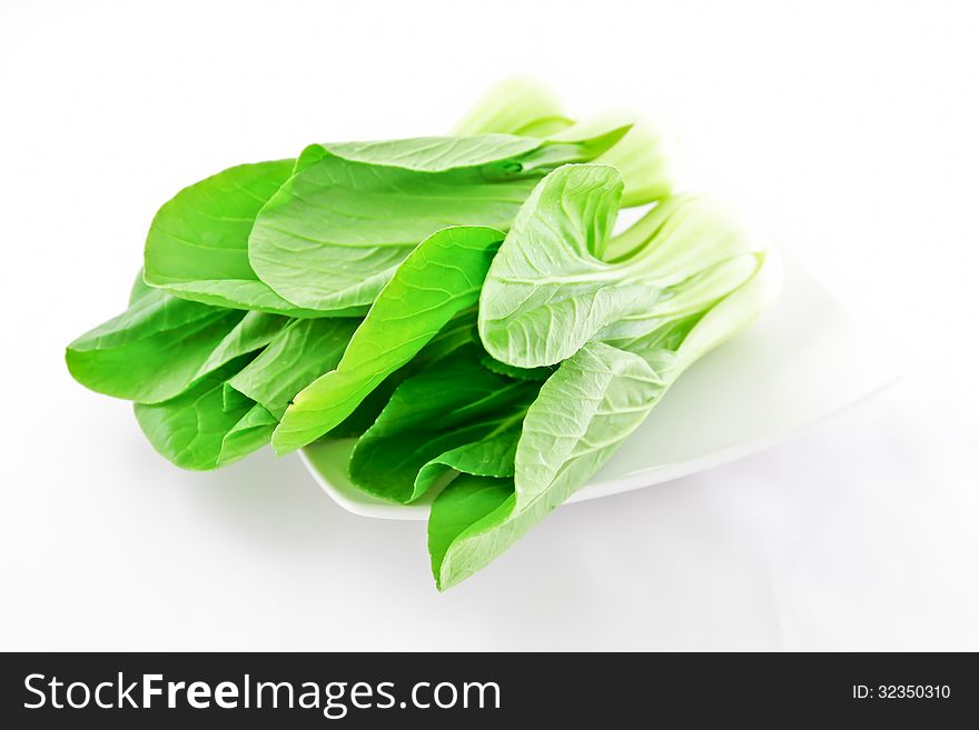 Vegetable mustard green on a white background. Vegetable mustard green on a white background