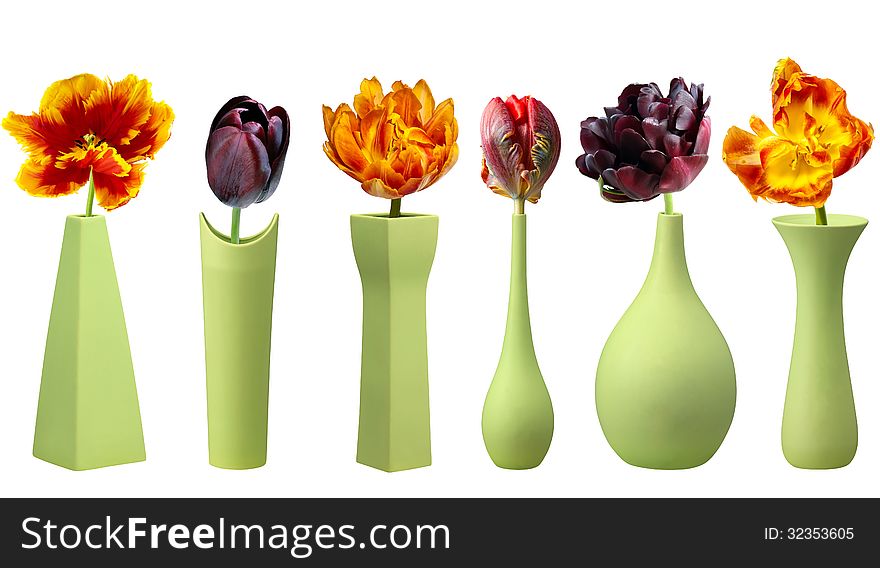 Colorful tulips in green vases on white background