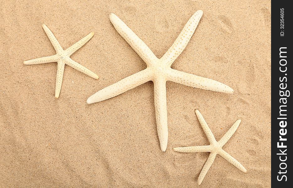 Three Starfishes Is Located On Sandy Background