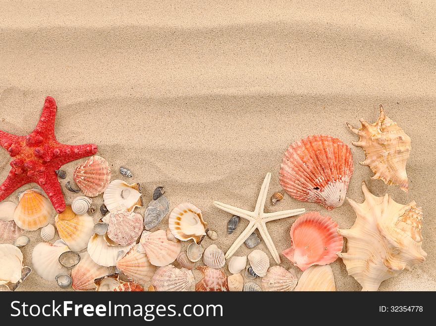 Lot of shells and seastars on sandy background. See my other works in portfolio.