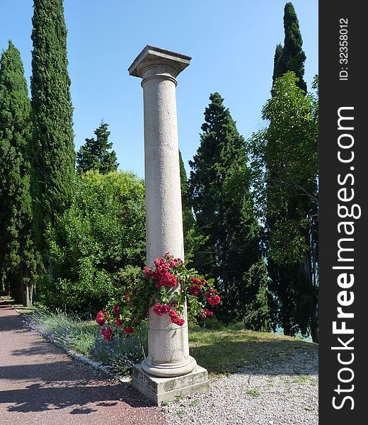 Beautifully ornate pillar with a rose bush. Beautifully ornate pillar with a rose bush
