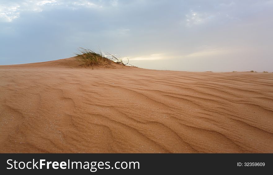Sand Dunes In Mauritania