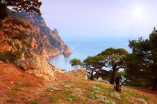 Summer Landscape By The Sea Stock Photography Summer Landscape By The Sea Stock Photography