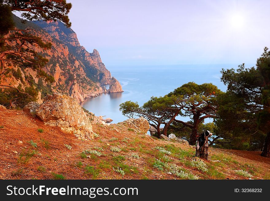 Sunny summer landscape with a mountain forest and sea views. Sunny summer landscape with a mountain forest and sea views