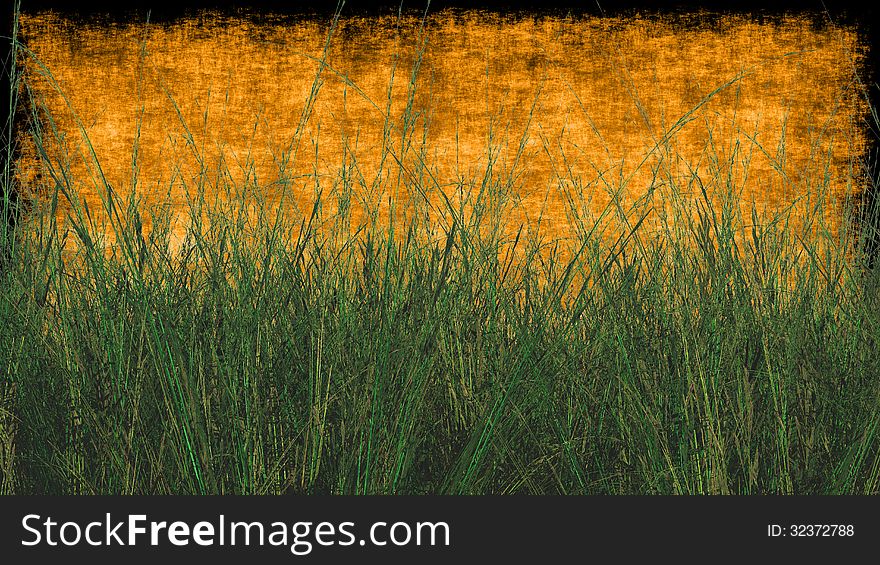 Close up Wheat Grass with Textured Background in Orange
