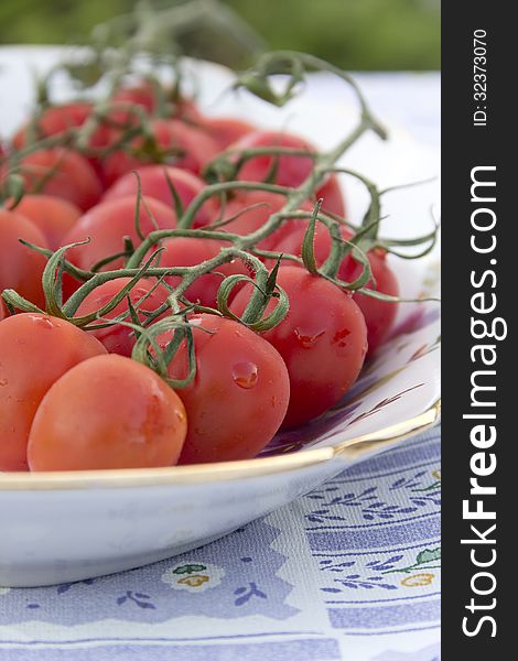 Cherry Tomatoes Plate Tablecloth